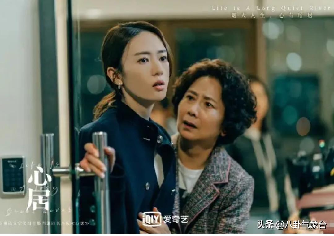 心居演员演技,心居演员人物关系