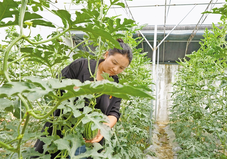 发展农村电商助推产业兴旺,电商赋能产业助力乡村振兴