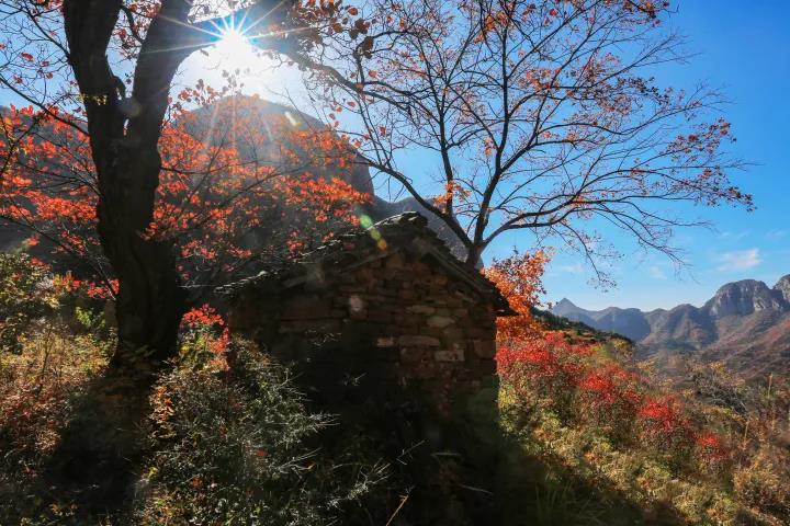 涉县羊大垴杨岐山圣水寺,涉县羊大垴海拔多少