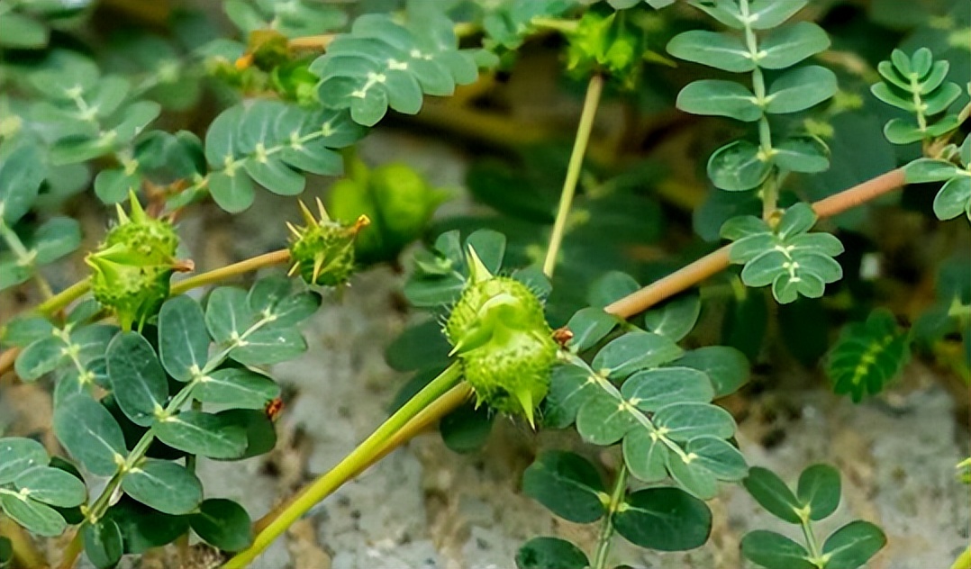 在这里，把孩子「赶」出游戏