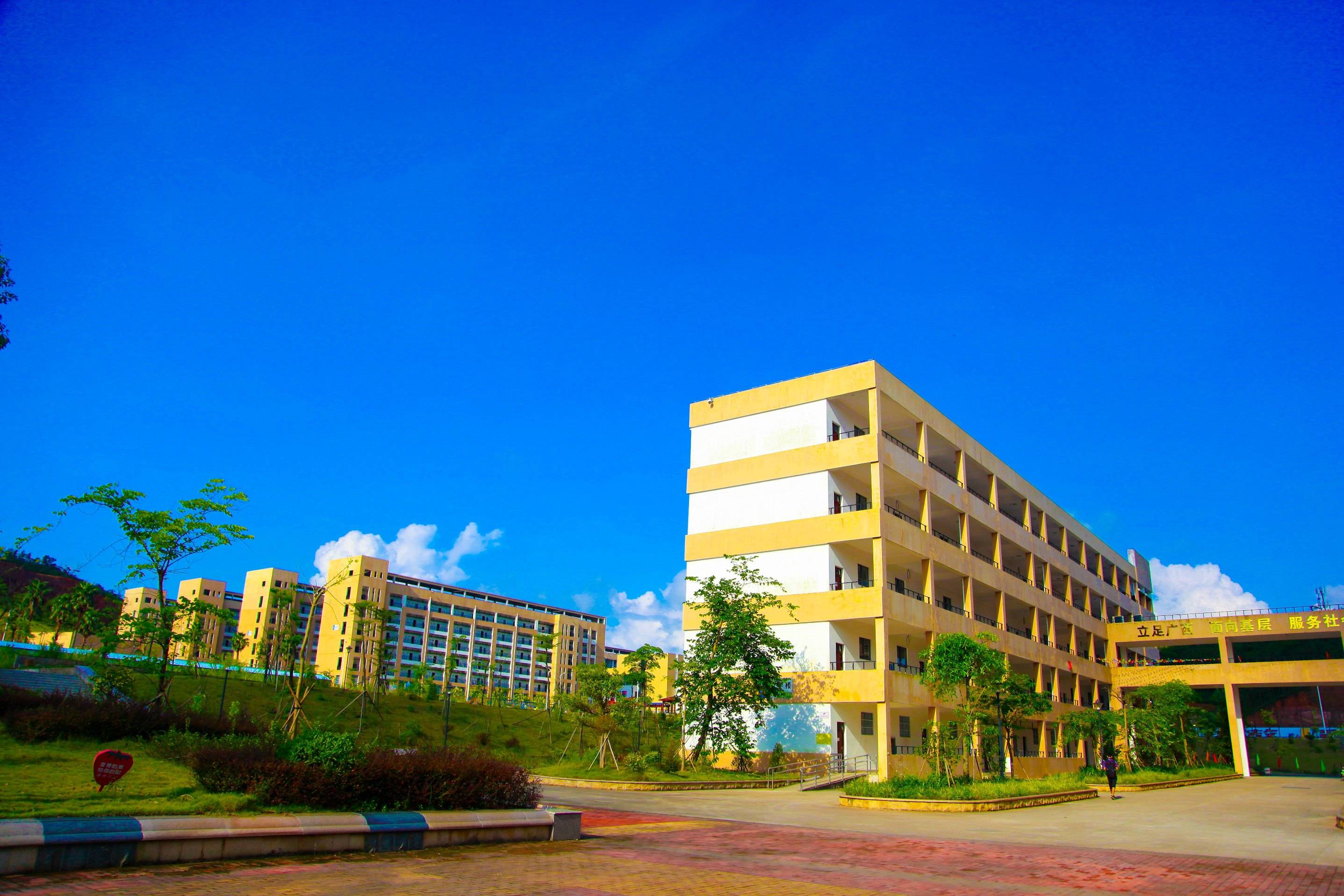 广西2024单招学校专业有哪些,2023年广西单招对口学校和专业