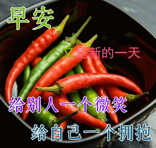 九月早上祝福,九月九早上好的祝福视频