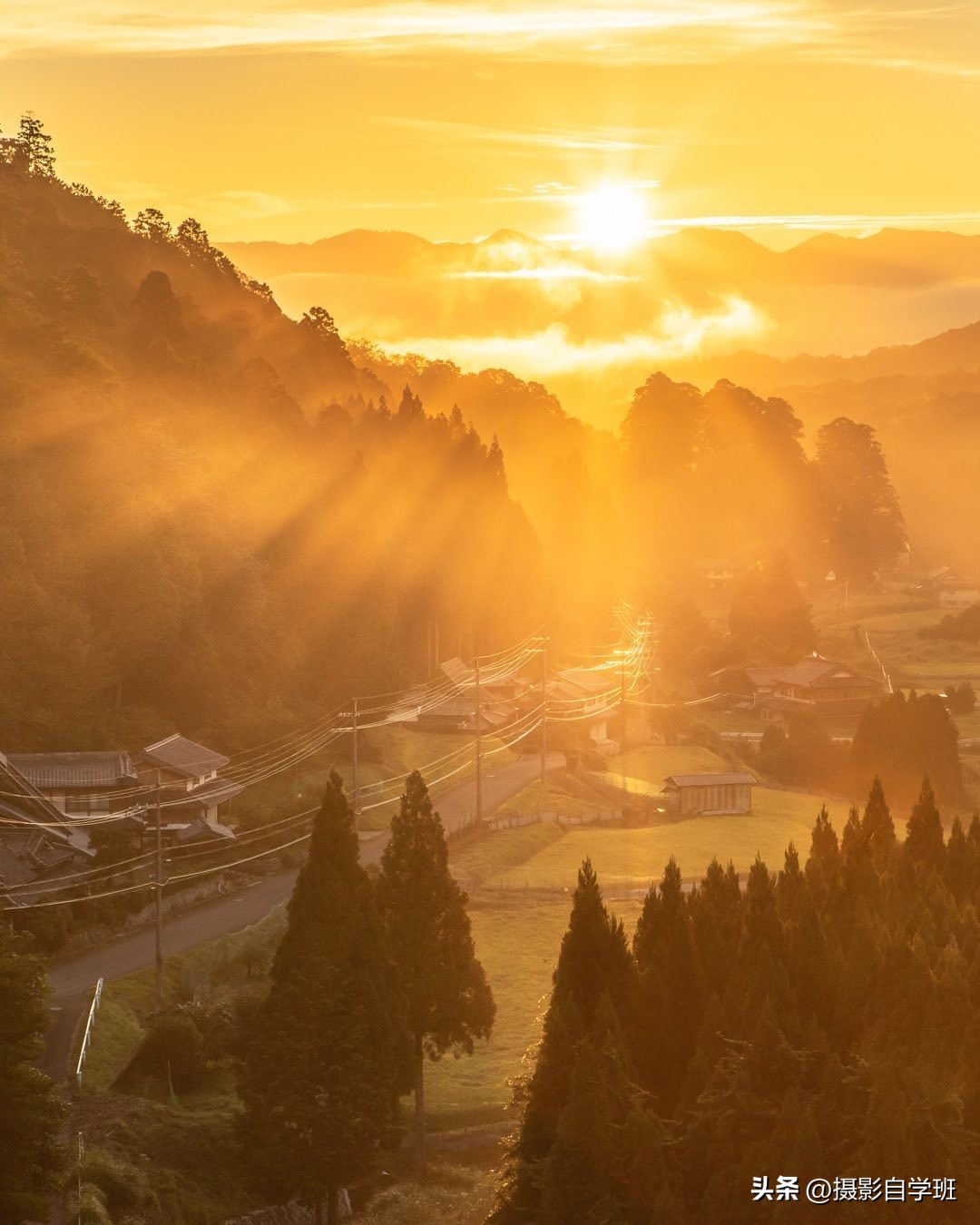 手机拍照零基础入门摄影技巧,你也可以轻松拍出电影感的照片