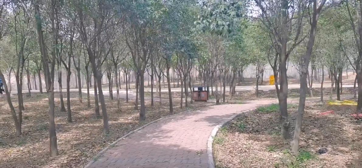 郑州市内周末遛娃好去处,郑州周边带娃不累的旅游地