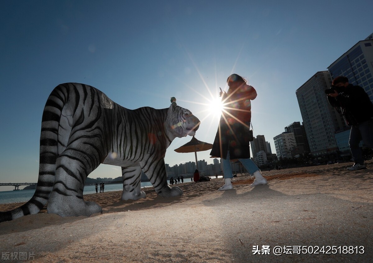 虎年大吉虎虎生威新年新气象,新的一年祝大家虎年大吉虎气冲天