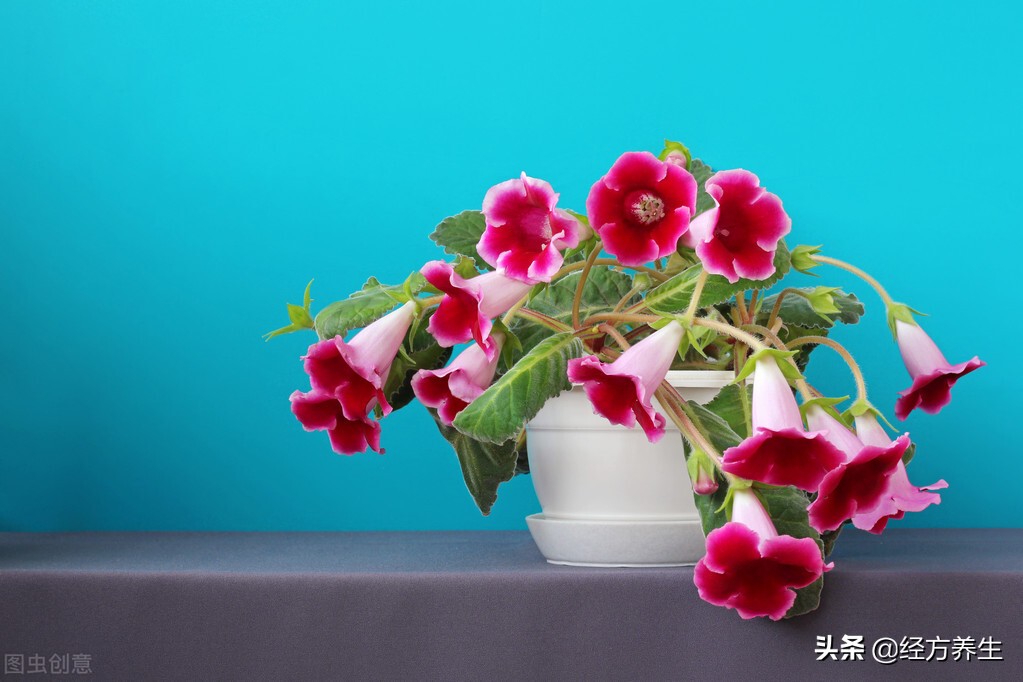 演员产后漏尿的原因,为什么产后修复后还漏尿