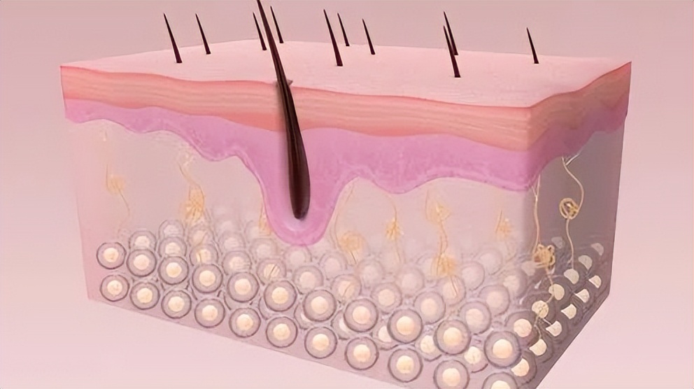 真性皱纹祛皱最好的方法,脸上皱纹用什么小妙招可以祛皱