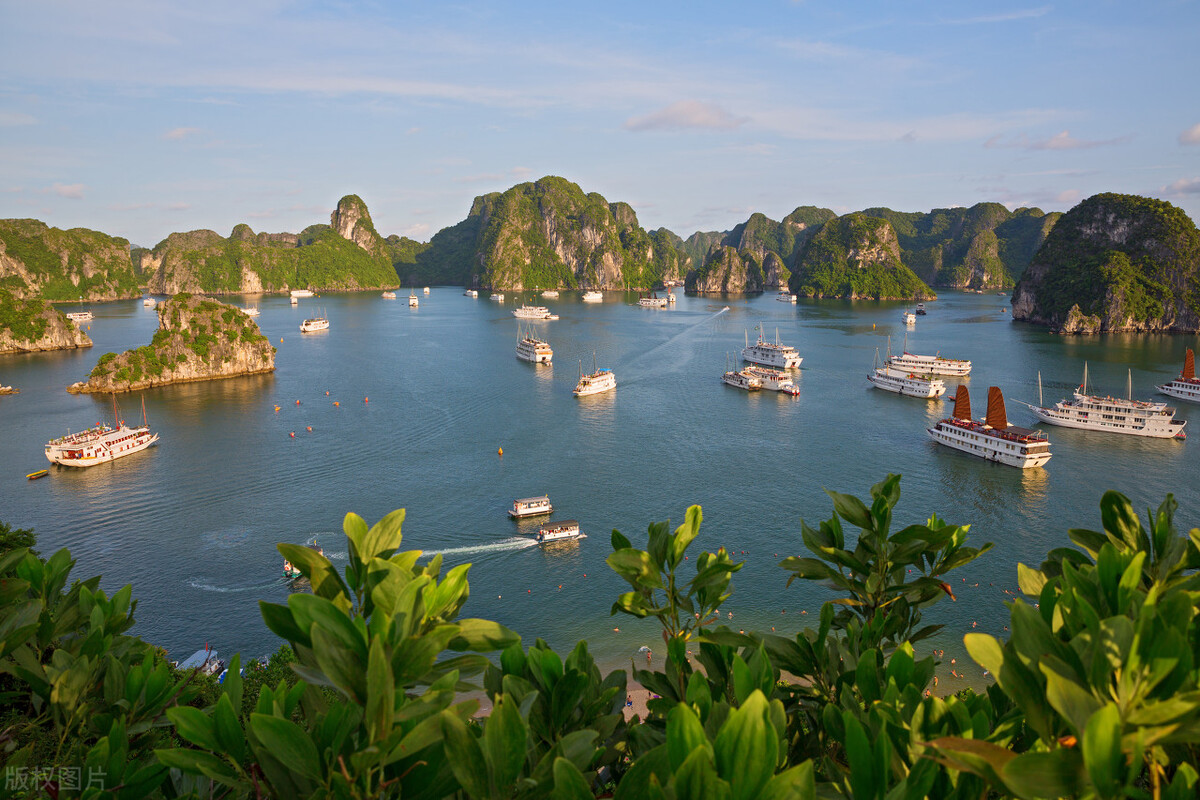 如何办理三个月越南旅游签证,越南旅游签证开放了吗