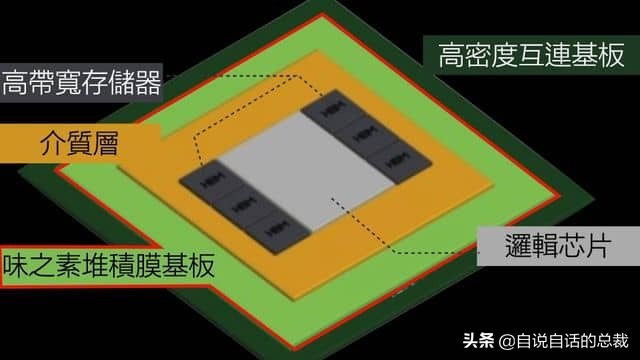 龙虾青龙和花龙区别,龙虾也是生物为什么我们要吃它