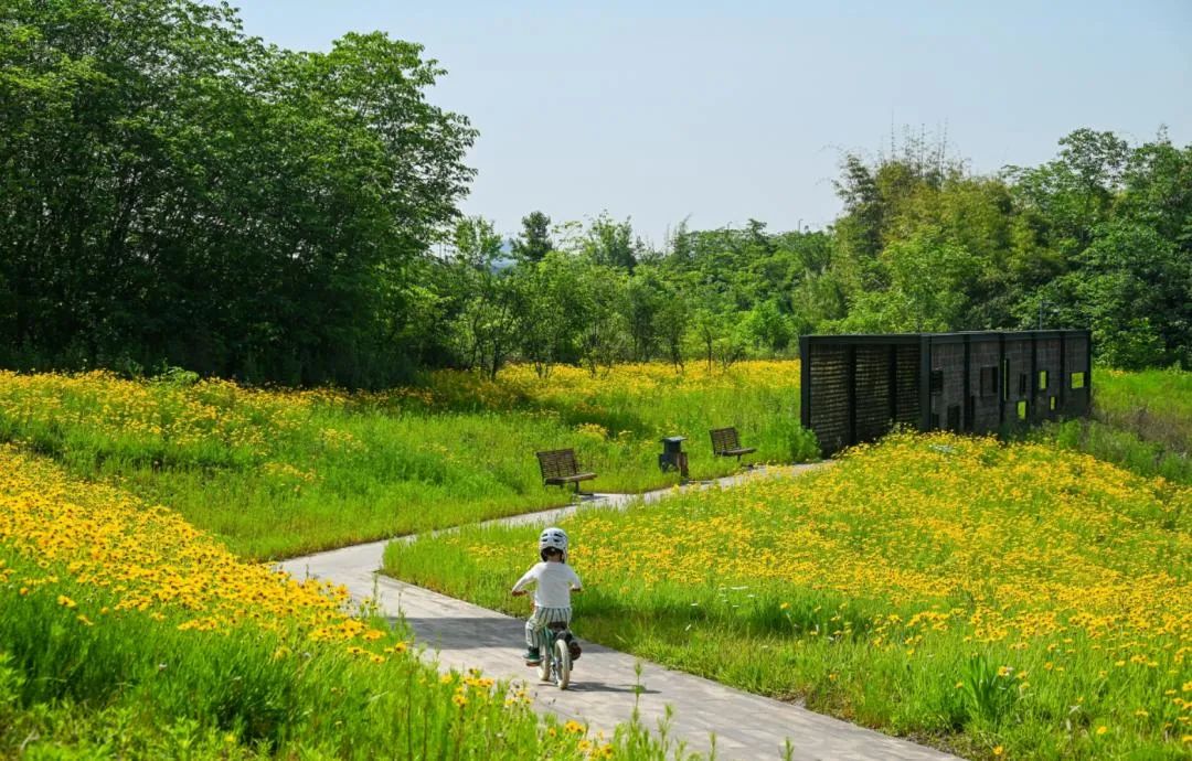 亲测环线,亲测空中自行车