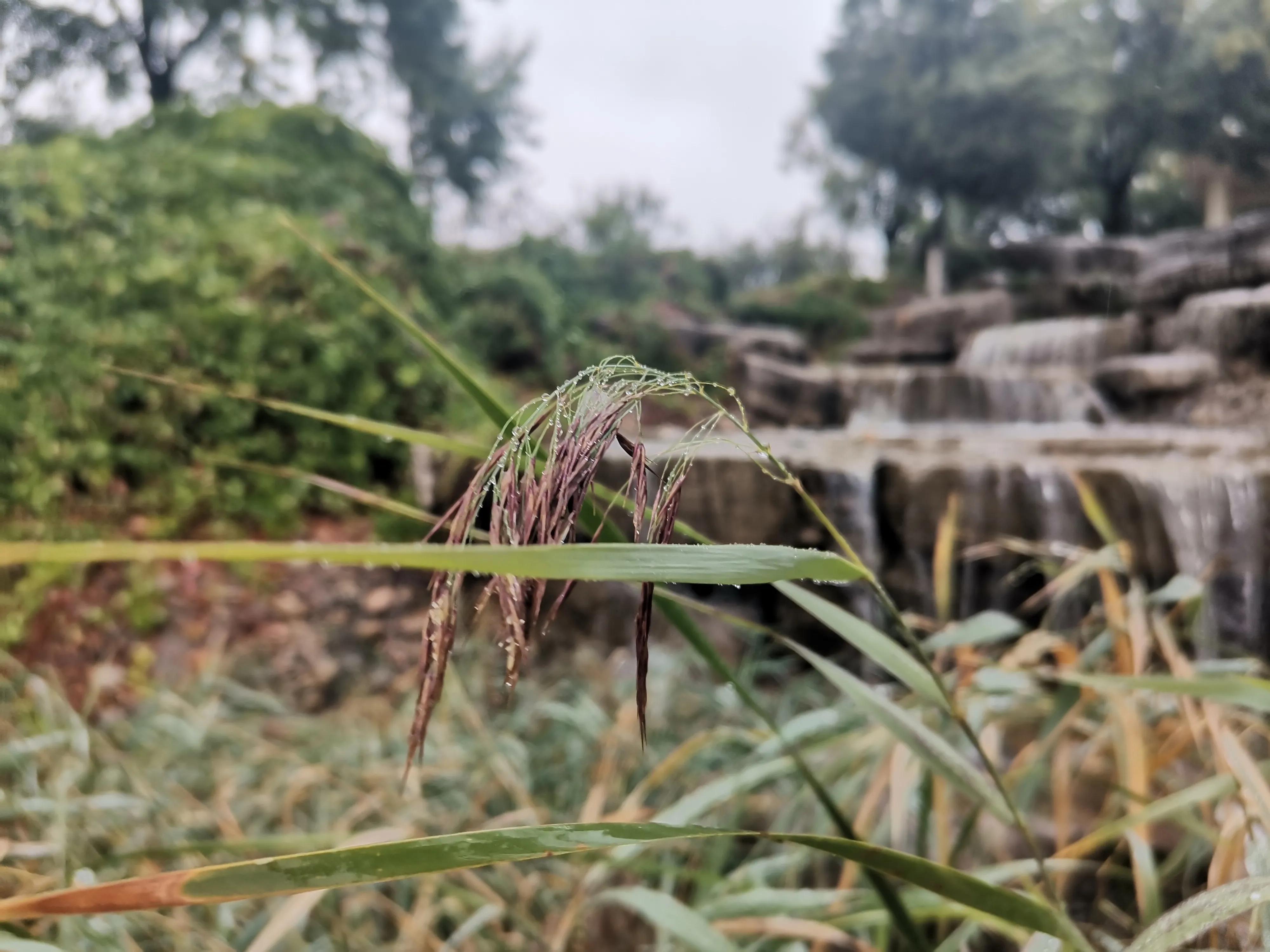秋雨绵绵凉意浓浓,秋雨绵绵雾茫茫