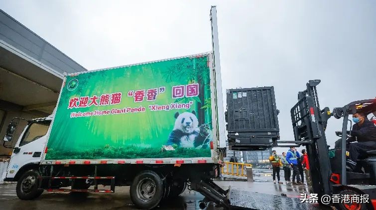 【觀塘觀雲】中國男籃抵港；港片《毒舌大狀》票房破億......