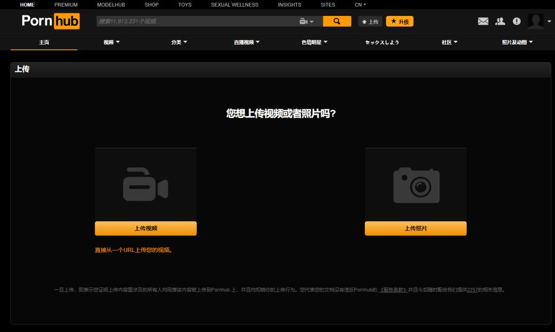 自己在家浏览黄色网站是个人行为还是违法行为
