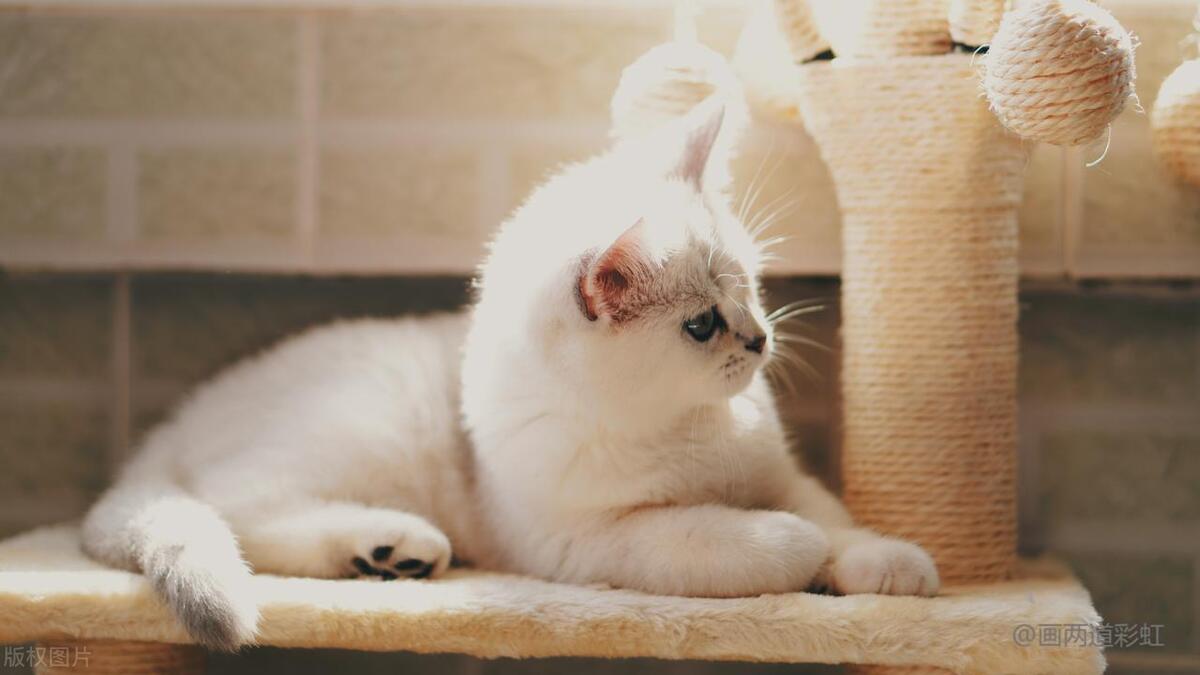 十二星座男女的区别在哪里,十二星座中男女的差别