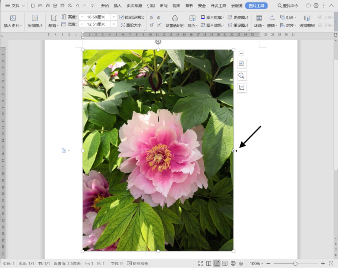 WPS技巧：调整图片格式