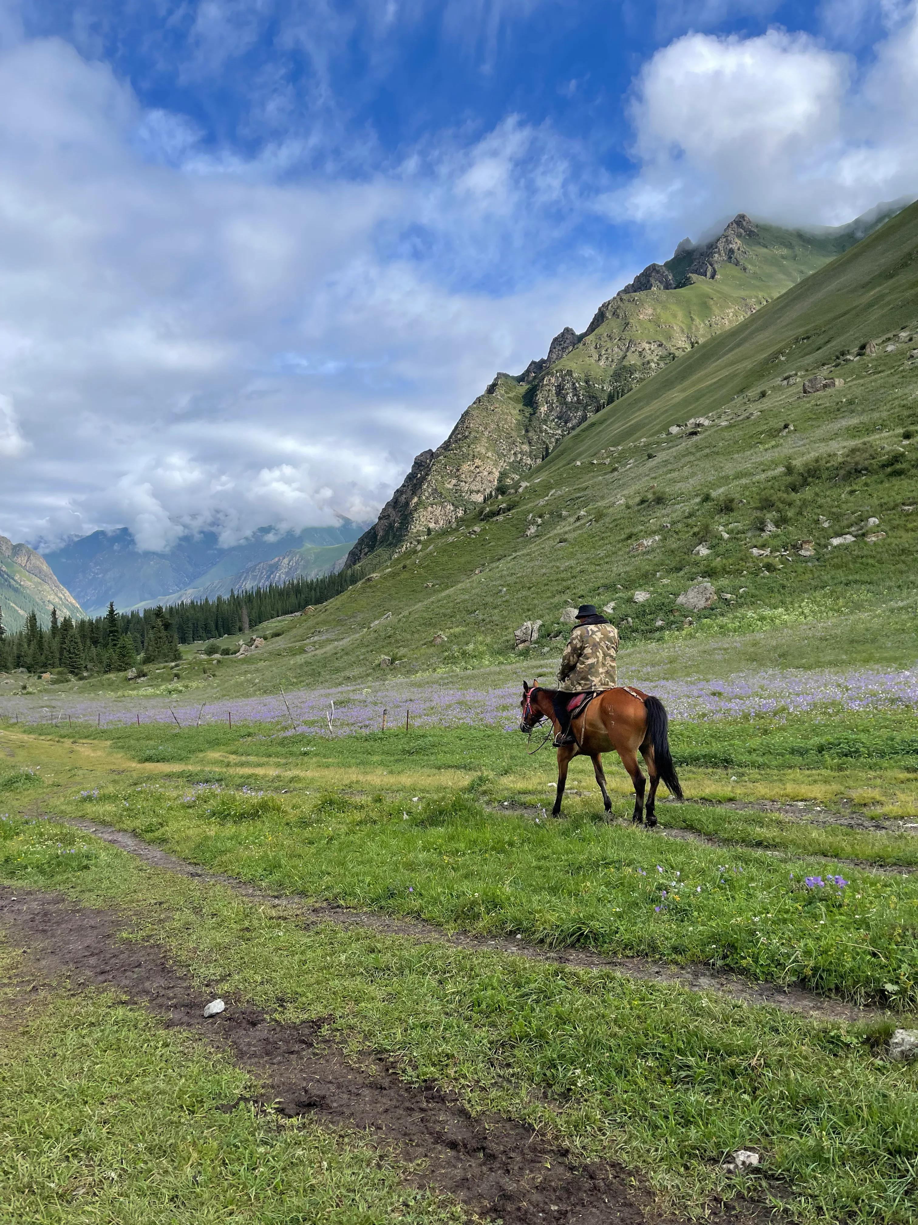 伊犁徒步穿越古道,伊犁昭苏县夏塔古道图片