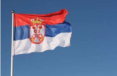 欧洲巴铁武契奇,欧洲对武契奇评价