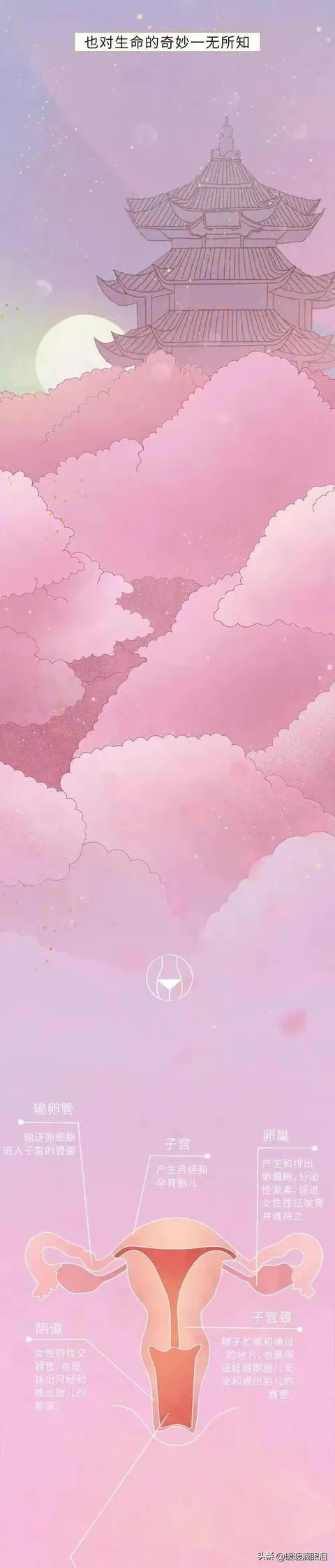 成年人如何了解性知识,普及正确的两性知识