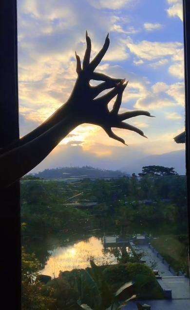 “天下第一舞指”密加：全网最会挣钱的一双手，一场直播赚200万