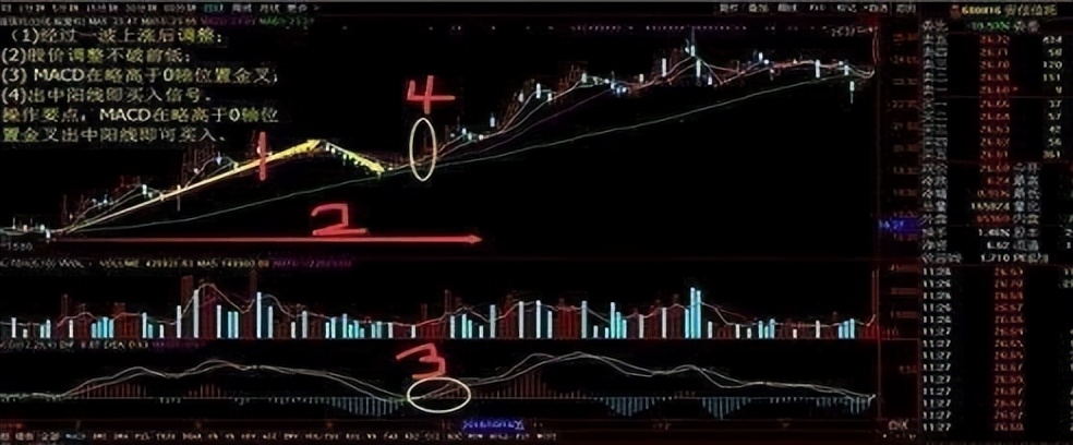 股市如何从100万赚到1000万,股市中赚100万最笨的方法