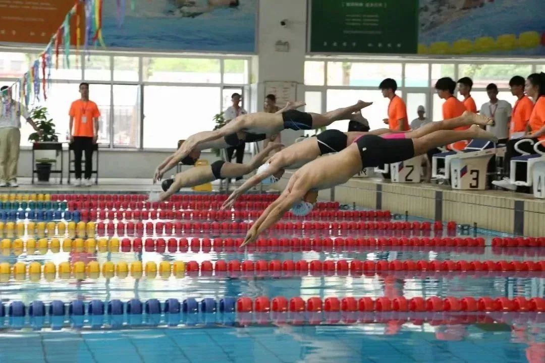 再创新突破！沈阳城市学院在辽宁省大学生游泳比赛中获多项佳绩