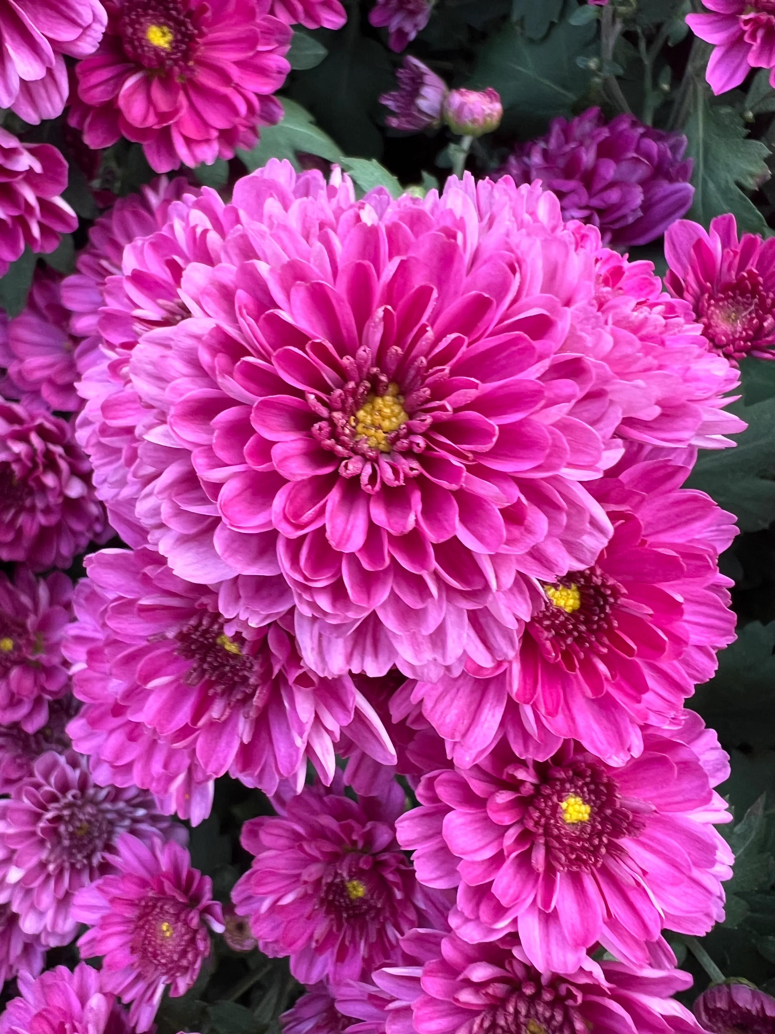 二十条负面清单,21条负面清单是哪些