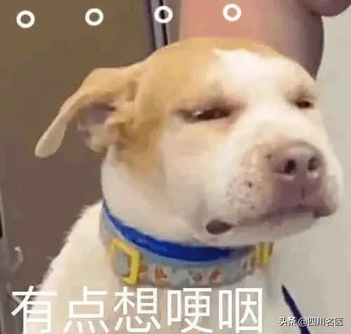 皮肤科医生的防晒秘籍,皮肤科医生有什么忠告