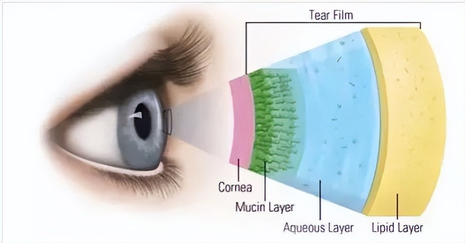 眼睛干痒模糊买什么眼药水好,网红眼药水小心眼睛越用越干