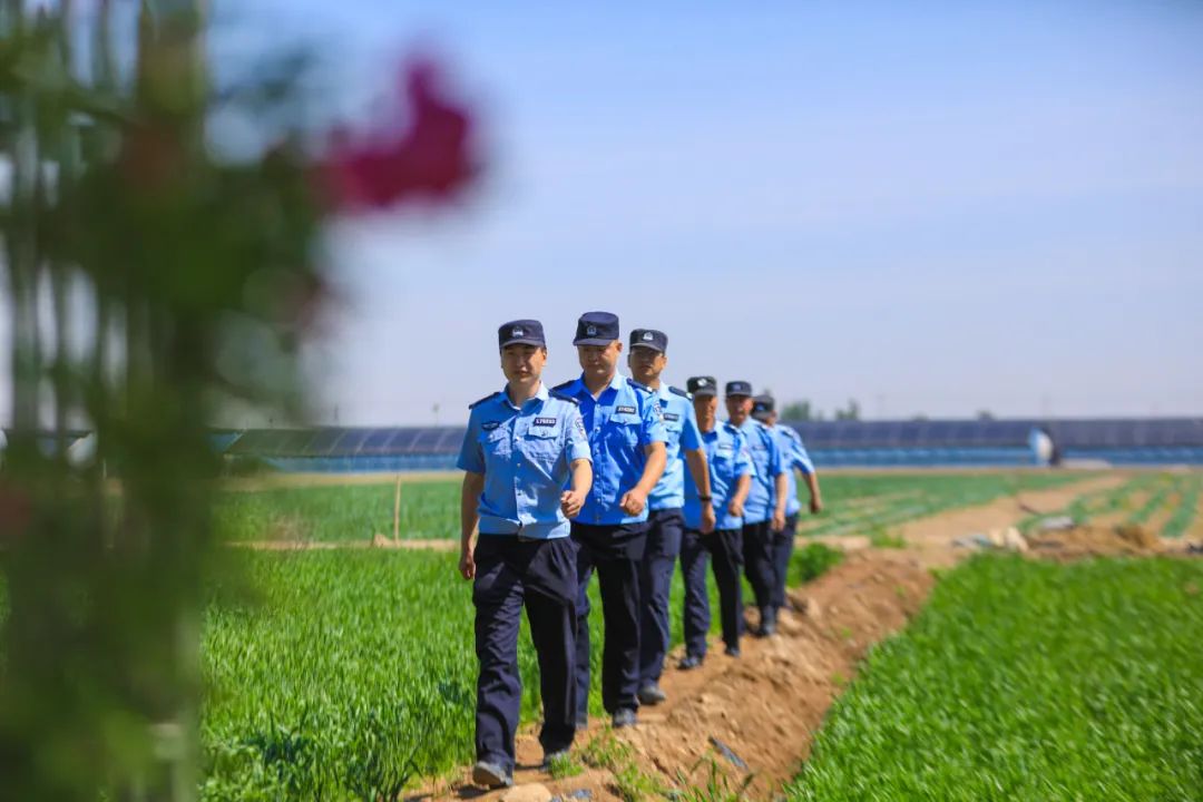 【夏季治安打击整治“百日行动”】宁夏银川：降警情、控发案，“百日行动”取得阶段性成果