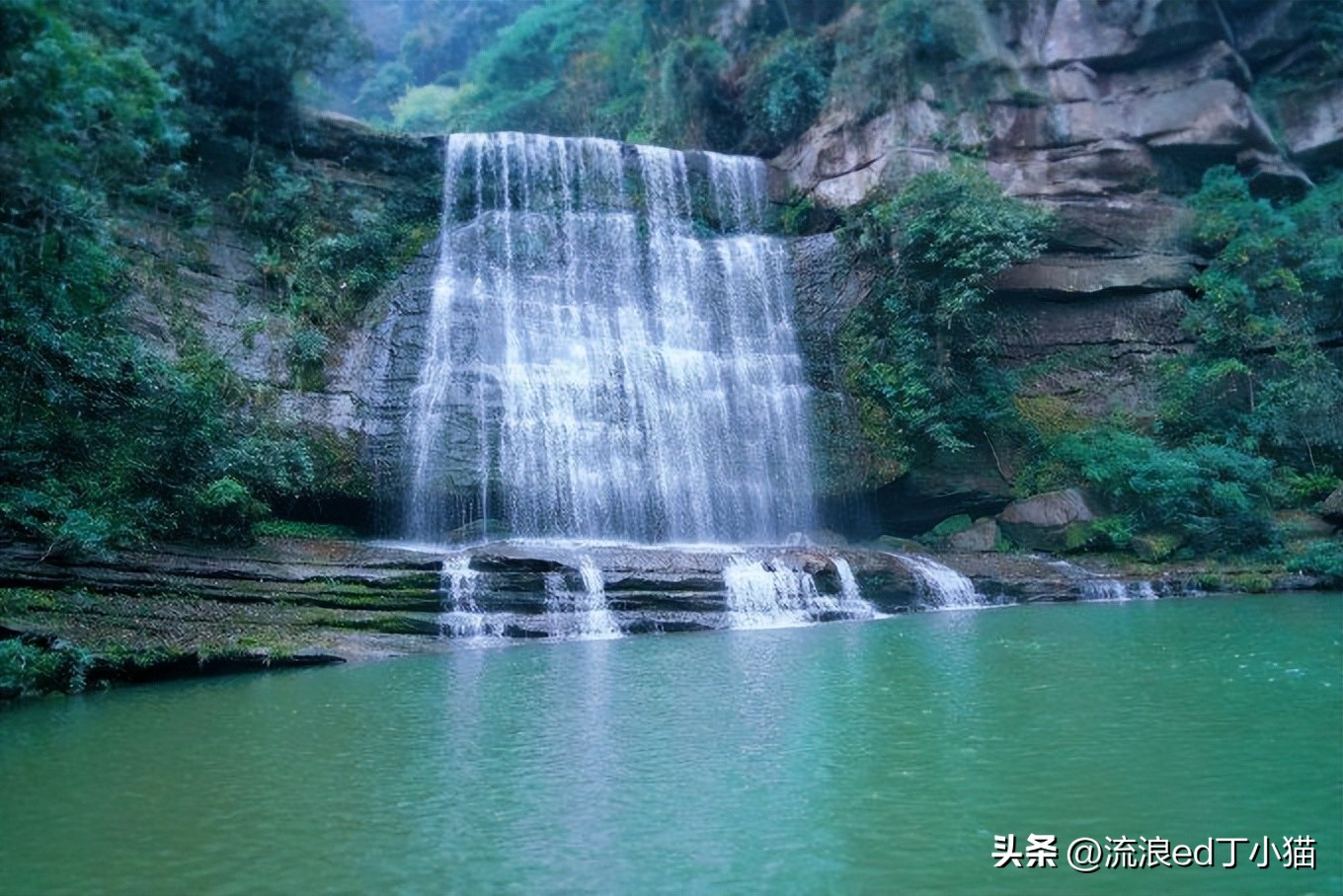 舌尖上的中国泸州古蔺椒麻鸡,古蔺麻辣鸡是哪里的特色小吃