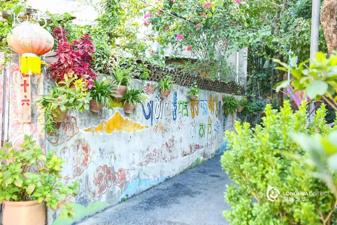 深圳美丽的古村落,网红古村落风景