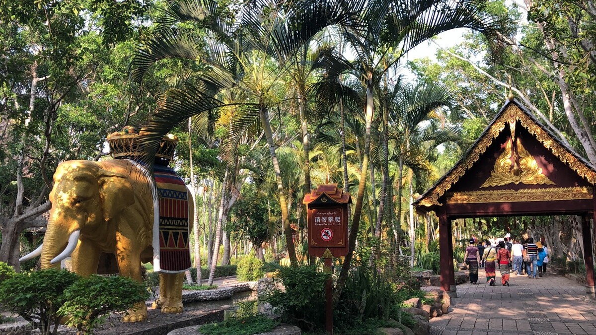 西双版纳避寒避暑的雨林仙境,西双版纳避寒度假