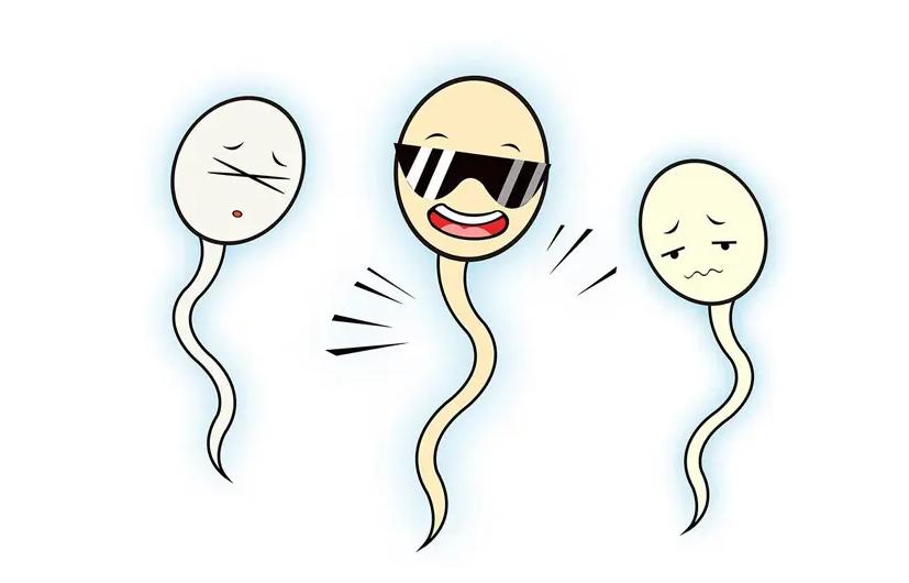 男性的前列腺有多么的重要,为什么说前列腺是男人的生命线