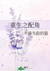 重生推文甜文男主,纯爱重生推文