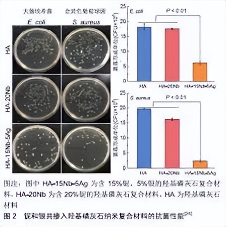 探究银离子浸渍海藻酸盐和水凝胶的制备及其抗菌性能