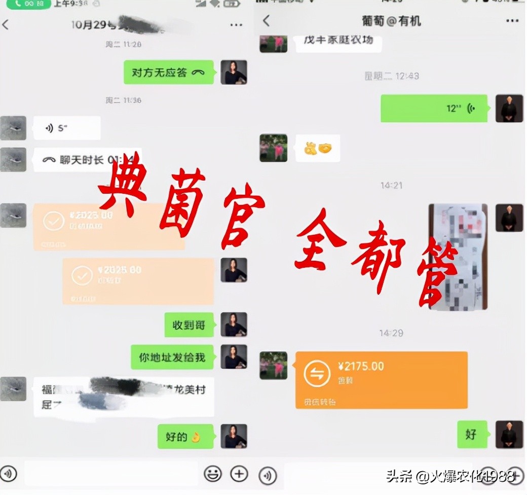 杀灭各种病原菌及微生物,如何杀真菌细菌病毒