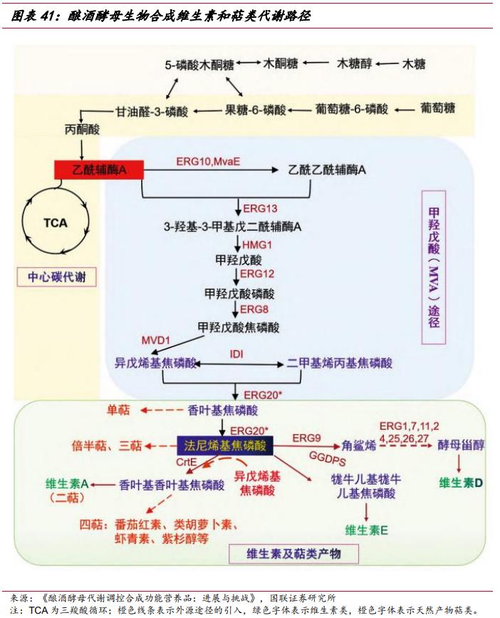 武汉嘉必优生物技术,嘉必优武汉生物