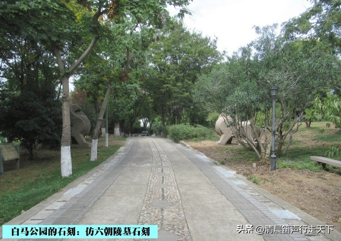 白马公园白马石刻朝代,公园石刻精品欣赏
