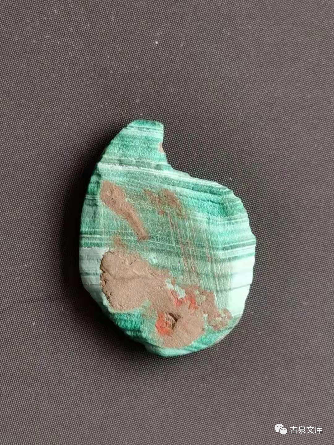 天然贝币真品价格,原始贝币发展史