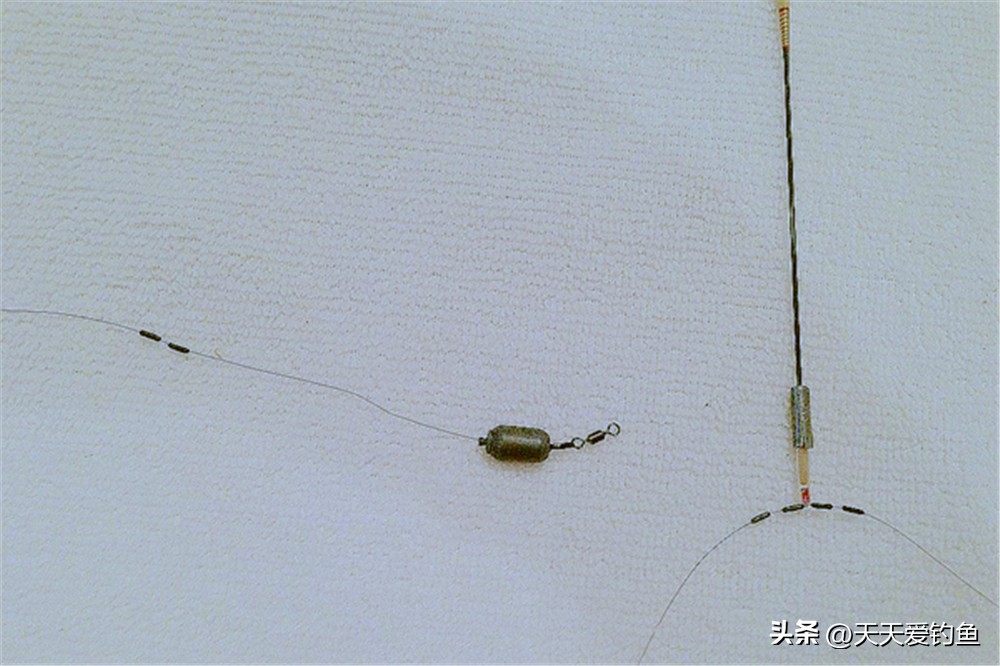 飞铅钓法适合什么鱼情,夏季飞铅钓法能钓到鲤鱼吗