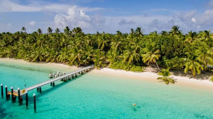 澳洲奇葩工种,澳洲工作奇葩