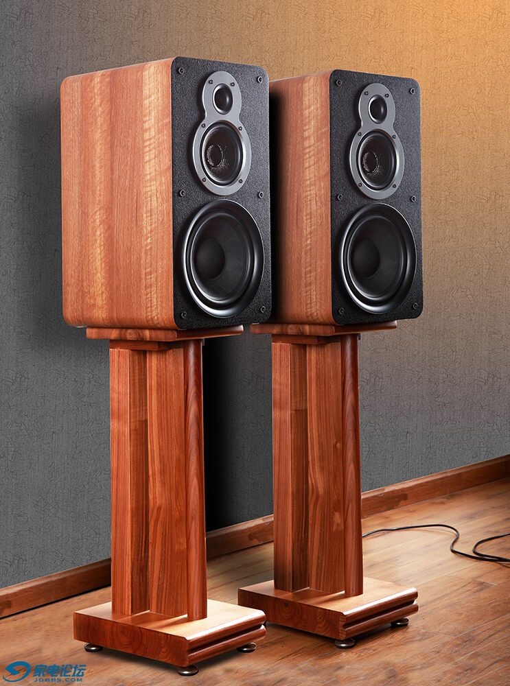 天逸童笛C8无源音箱结构图解,天逸童笛c8音箱低音怎样