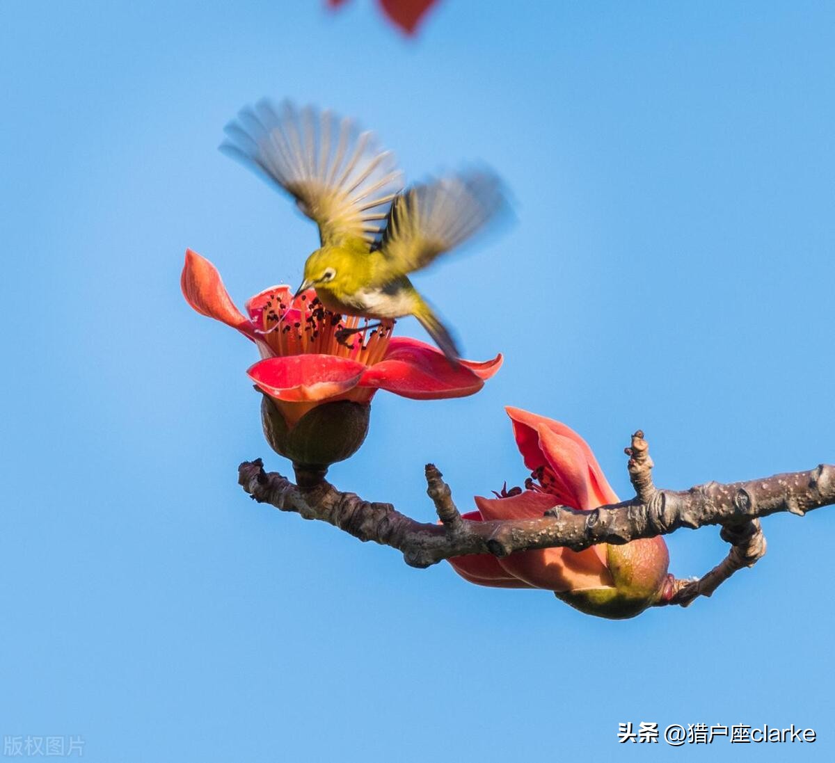 怎么拍出有力量感的动作,如何拍出具有冲击力照片