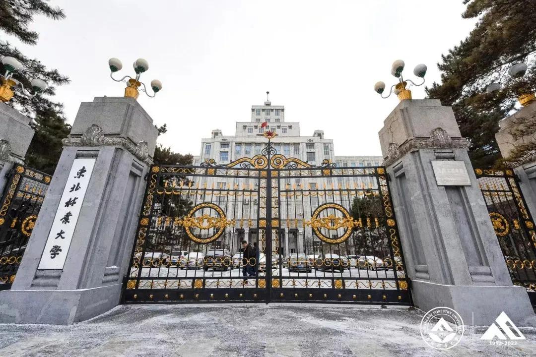 东北林大和东北农大,东北师范和东北林大哪个好