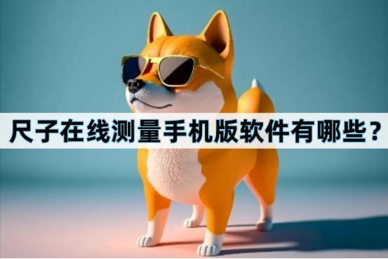 尺子在线测量手机版怎样操作,手机尺子测量软件推荐