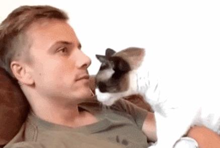 当你亲吻猫咪时它在想什么,情侣亲吻猫咪在想什么