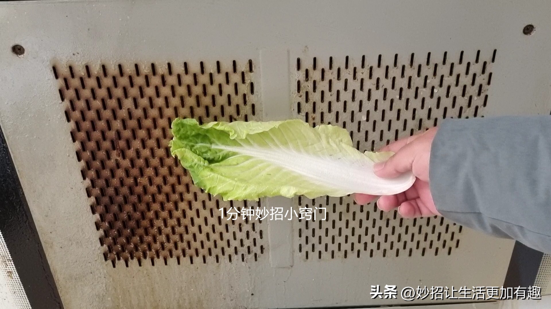 用白菜叶擦油烟机,油烟机上的白菜叶怎么清理
