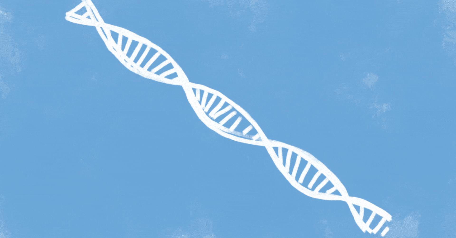 每一个人类都是由女性生的,那么世界上第一个女性,是从哪来的?