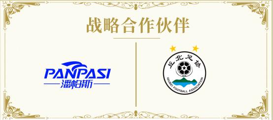 潘帕斯足球球衣,潘帕斯足球定制