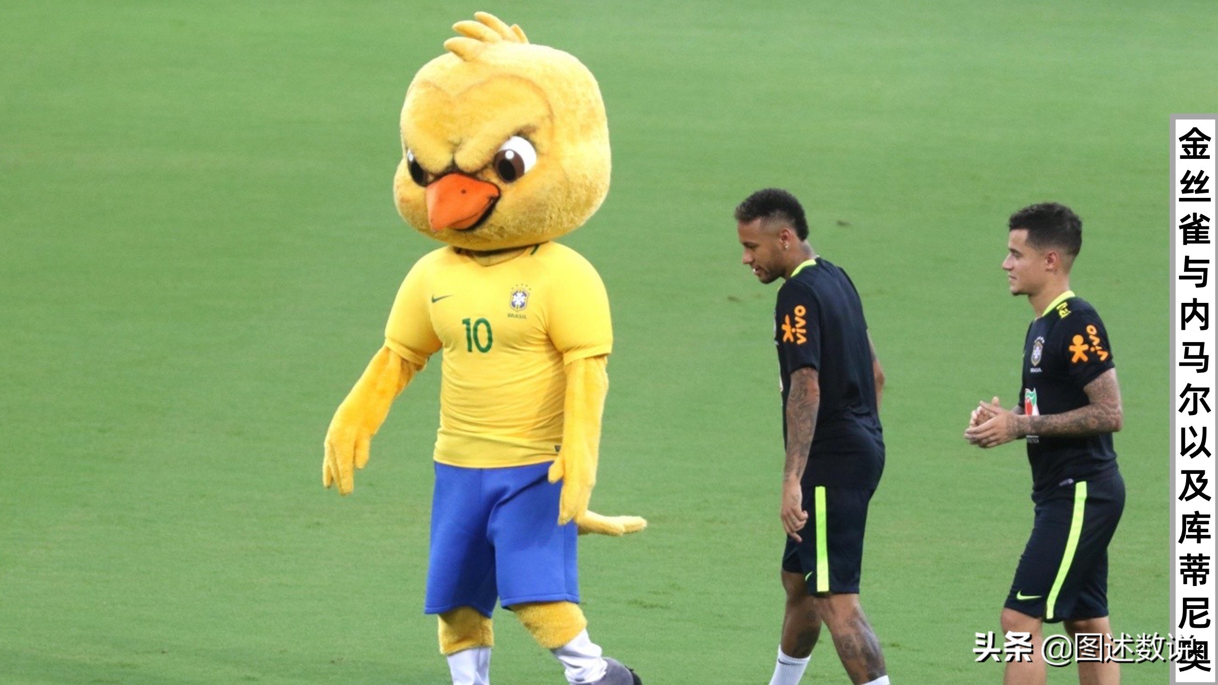 卡塔尔世界杯参赛球队有哪些,卡塔尔世界杯有多少支球队